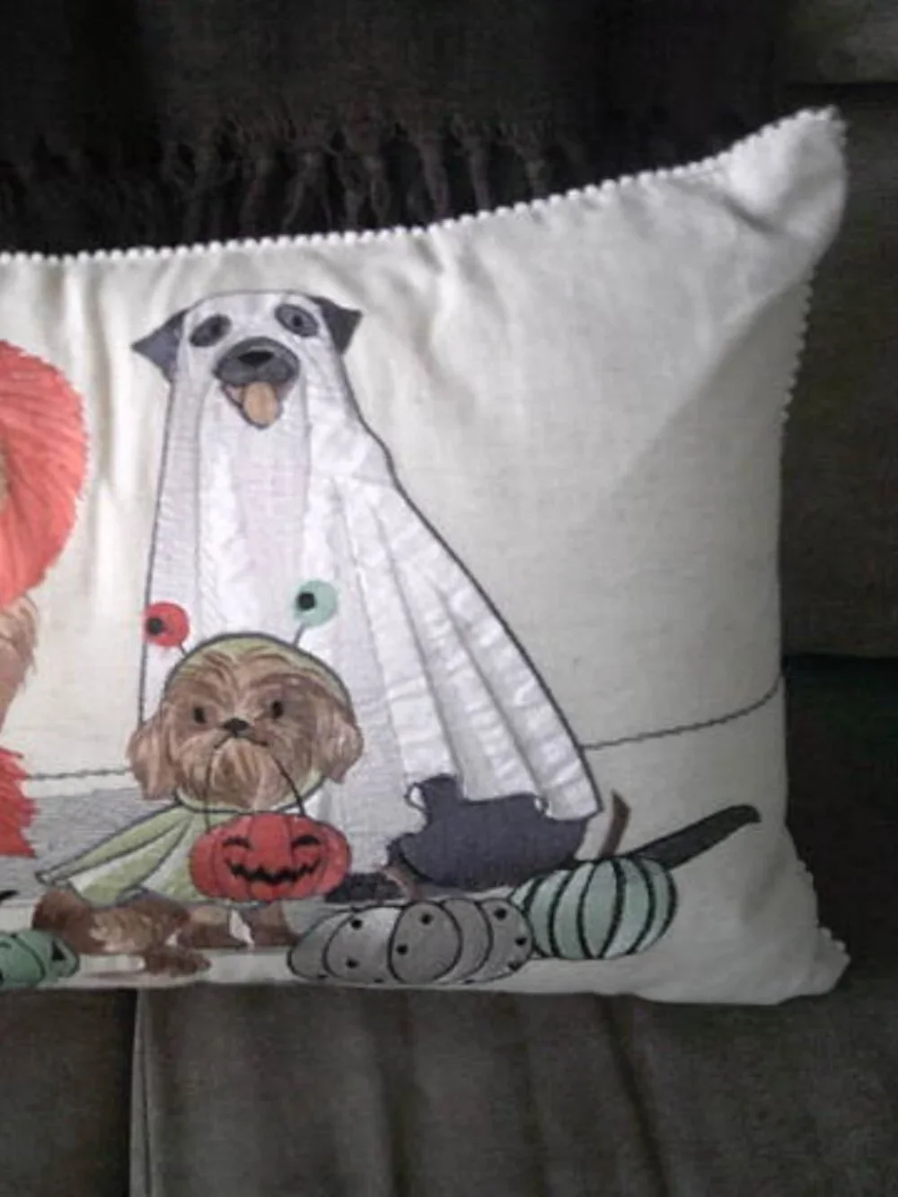 PIER 1 ONE FALL HALLOWEEN PLUSH EMBROIDERED LUMBAR PILLOW DOG PARADE 22